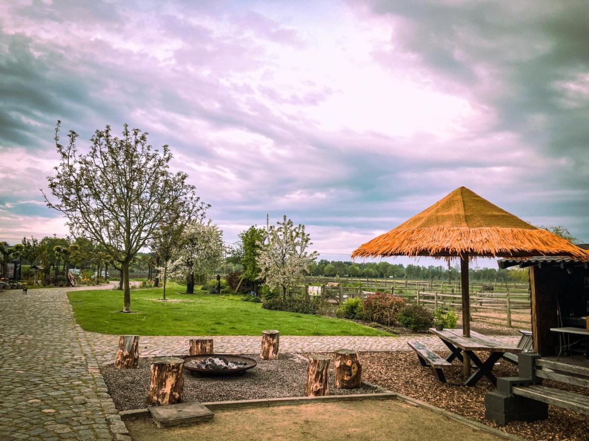 Bed and Breakfast De Worfthoeve Geel Exteriér fotografie